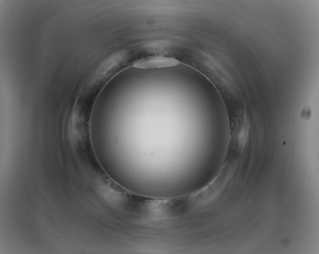 X0000096700136200802051420