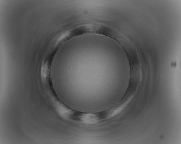 X0000096700137200802051420