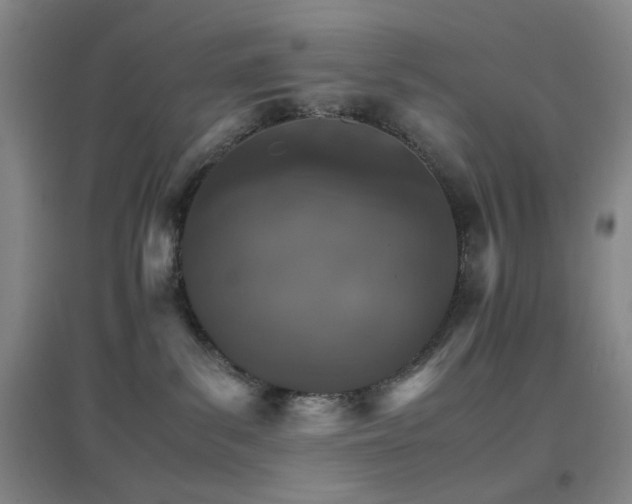X0000096700139200802051420
