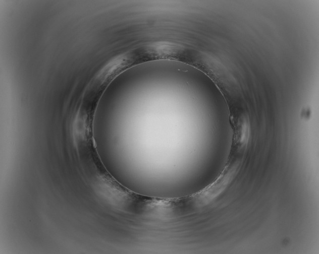X0000096700140200802051420