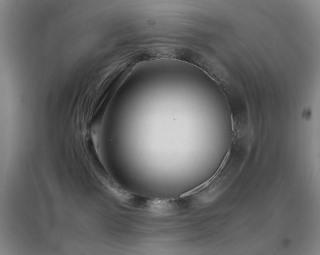 X0000096700141200802051420