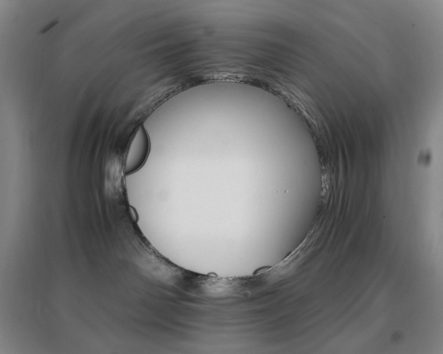 X0000096700142200802051420