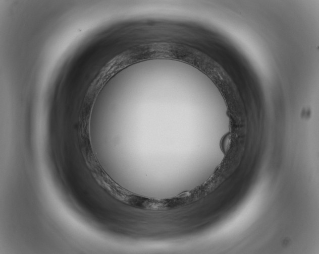 X0000096700143200802051420