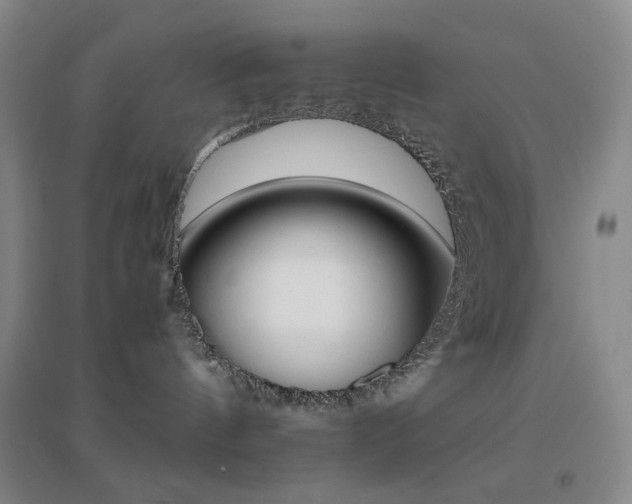 X0000096700144200802051420