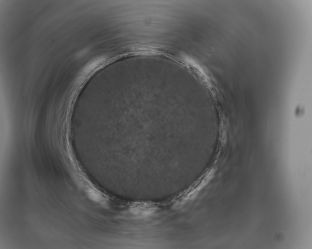 X0000096700145200802051419