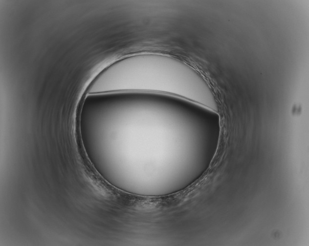 X0000096700148200802051419