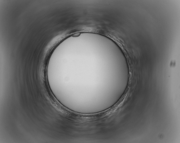 X0000096700149200802051419