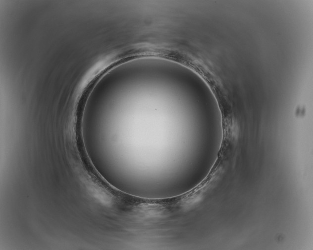 X0000096700150200802051419