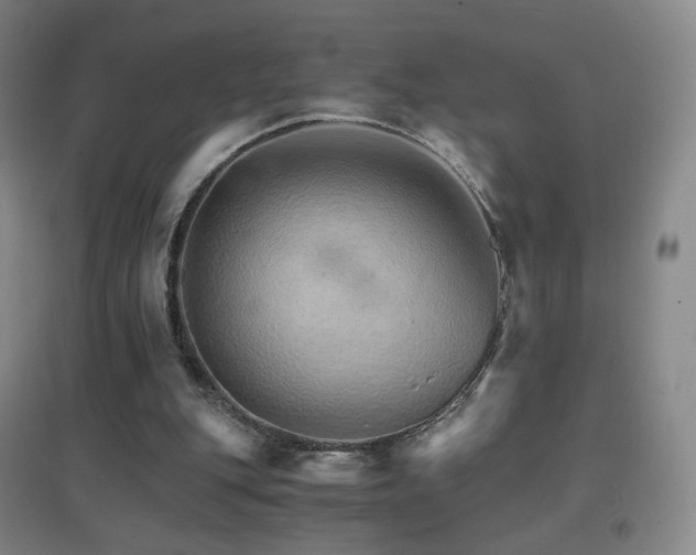 X0000096700151200802051419
