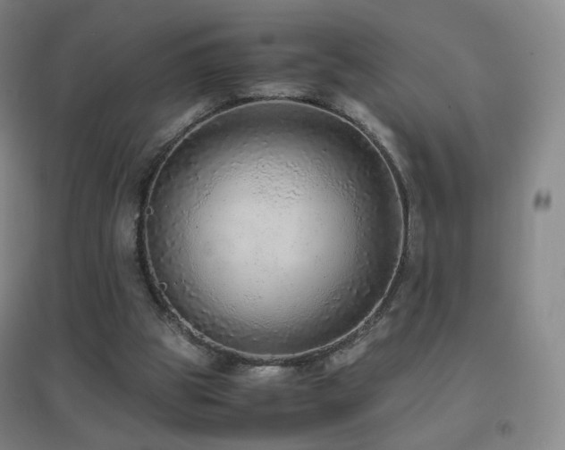 X0000096700153200802051419