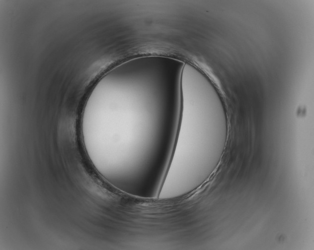 X0000096700154200802051419