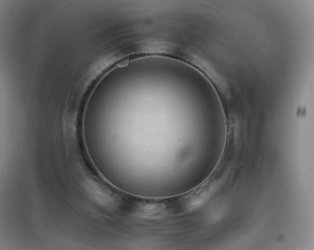X0000096700155200802051419