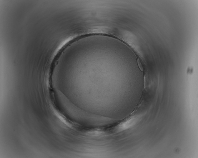 X0000096700156200802051419