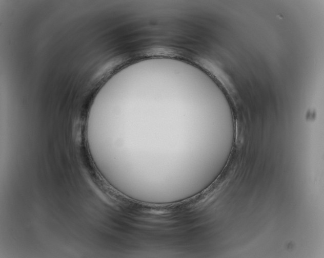 X0000096700157200802051419