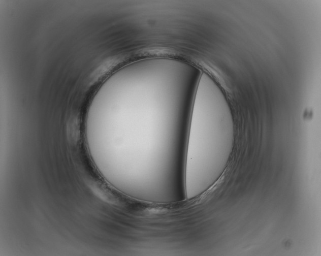X0000096700158200802051419