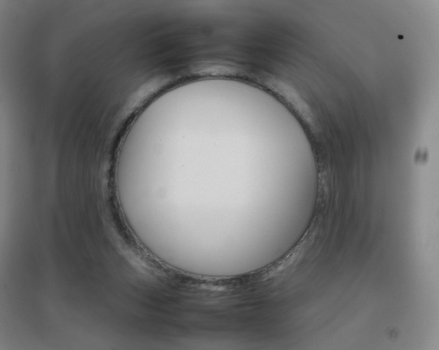 X0000096700159200802051419