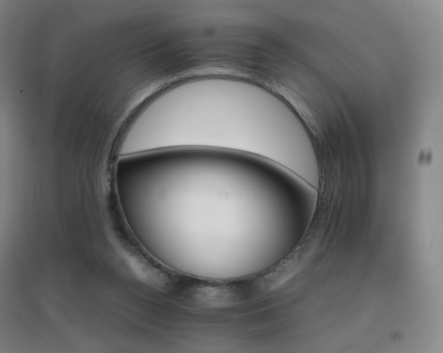 X0000096700160200802051419