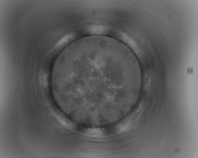 X0000096700161200802051419