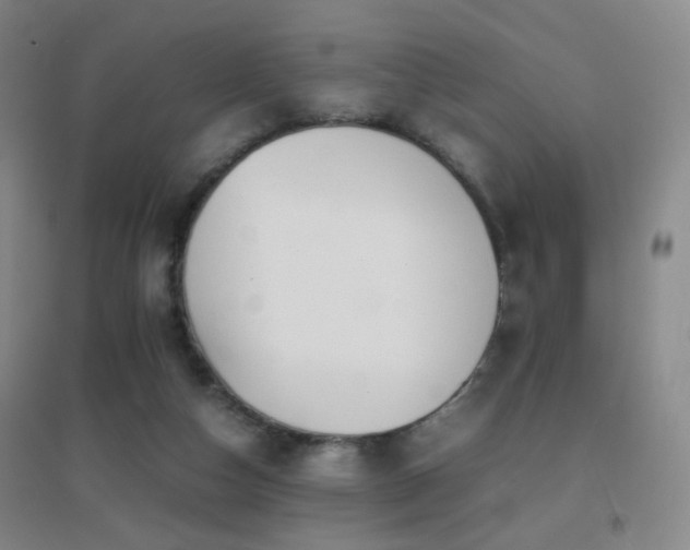 X0000096700162200802051419