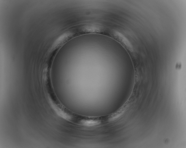 X0000096700163200802051419