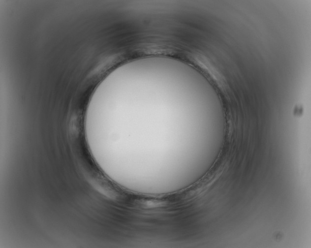 X0000096700165200802051419