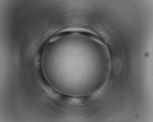 X0000096700166200802051419