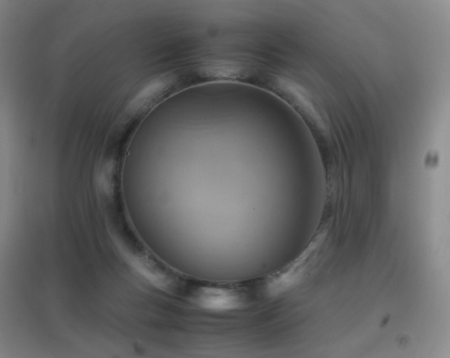 X0000096700167200802051419