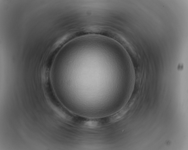 X0000096700168200802051419