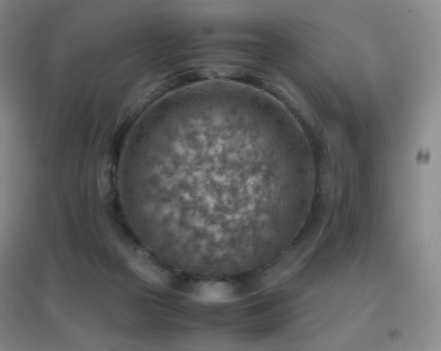 X0000096700169200802051419
