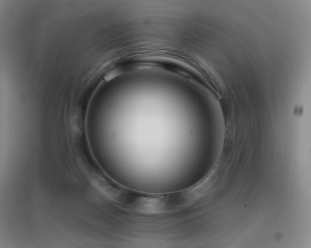 X0000096700170200802051419