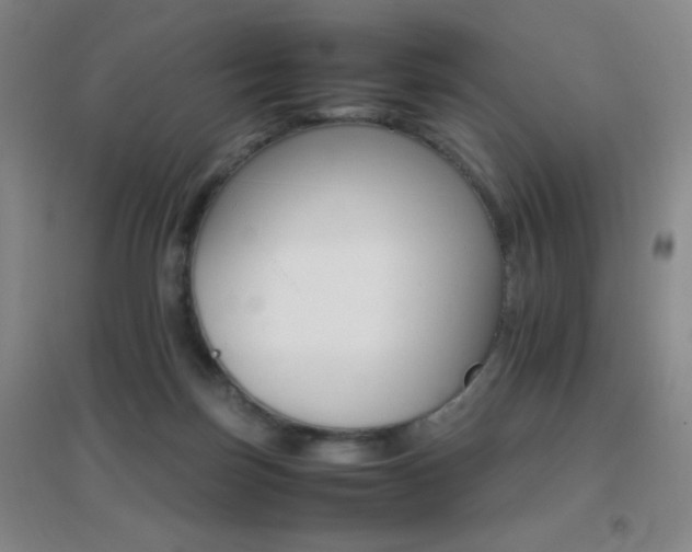 X0000096700171200802051419