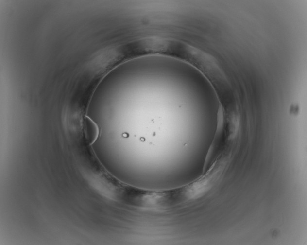X0000096700172200802051420