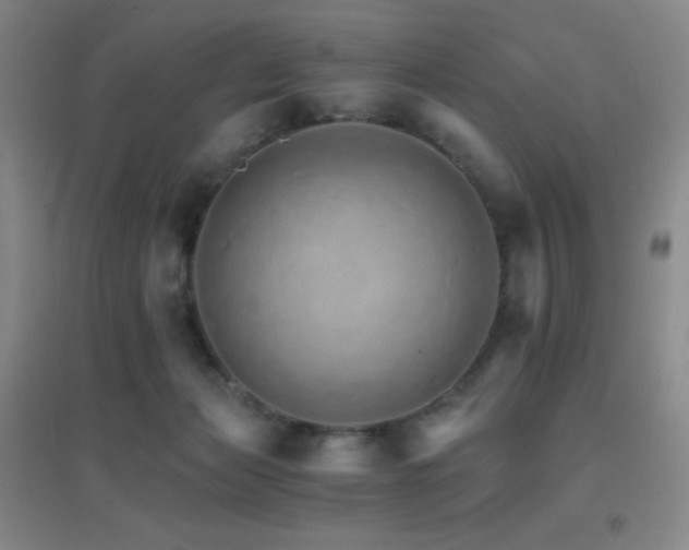 X0000096700173200802051420