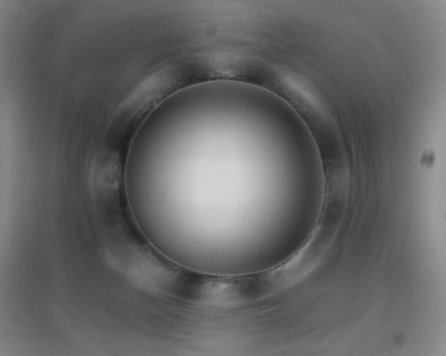 X0000096700174200802051420