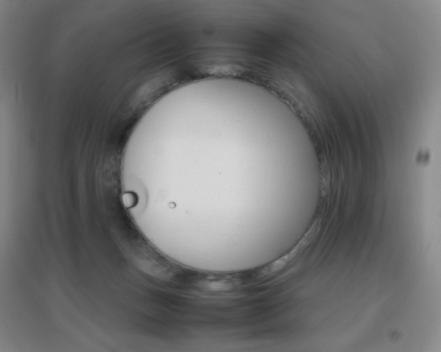X0000096700175200802051420