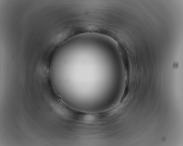 X0000096700176200802051420