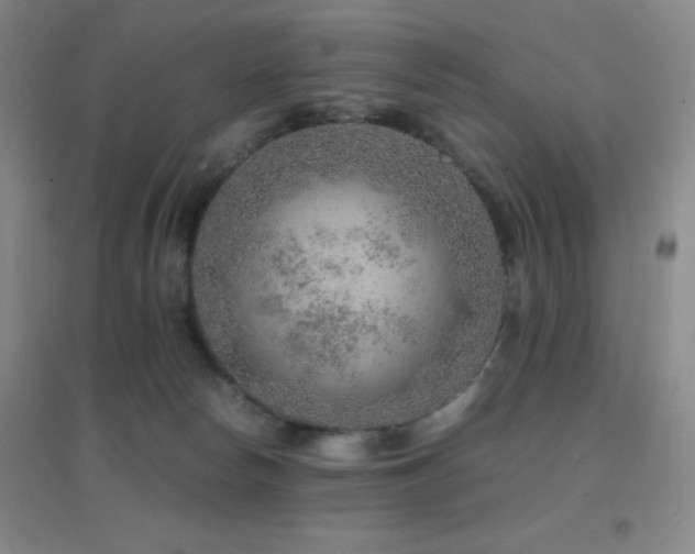 X0000096700178200802051420