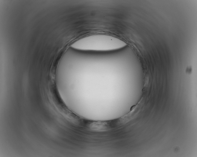 X0000096700179200802051420
