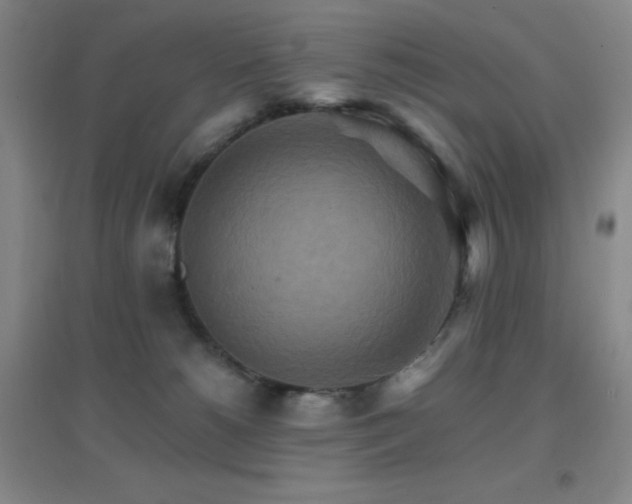 X0000096700180200802051420