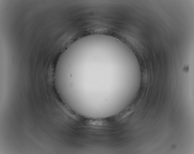 X0000096700181200802051420