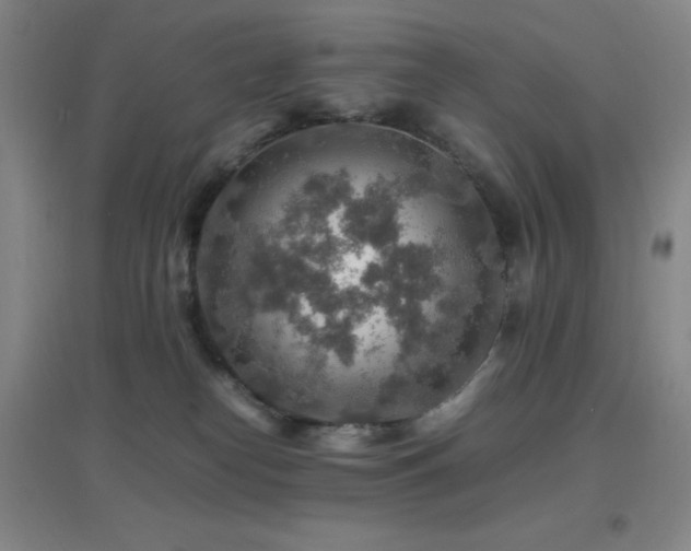 X0000096700182200802051420