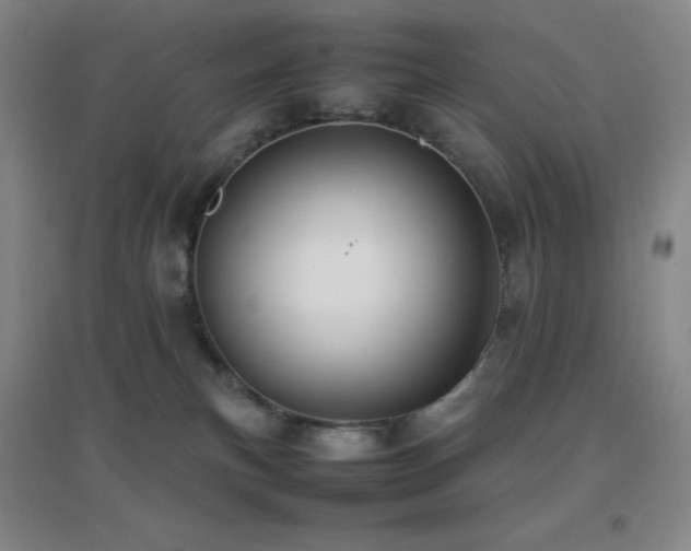 X0000096700183200802051420