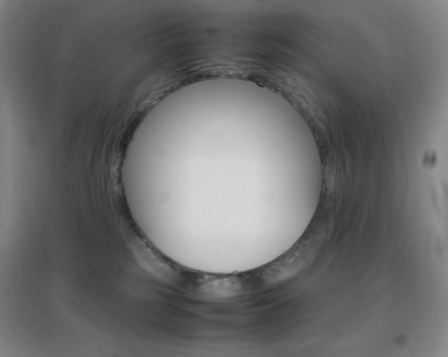 X0000096700185200802051420