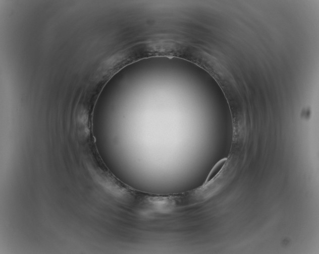 X0000096700187200802051420