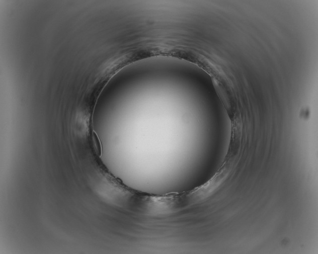 X0000096700188200802051420