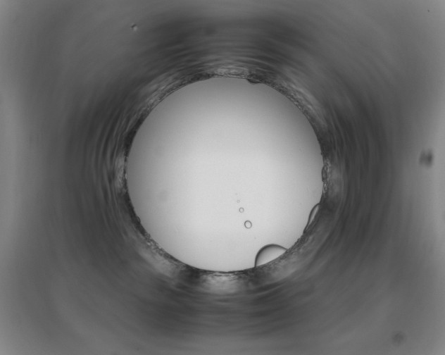 X0000096700189200802051420