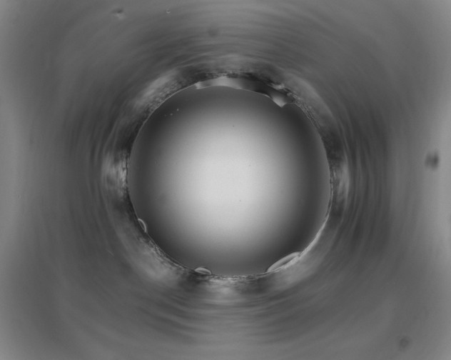 X0000096700190200802051420
