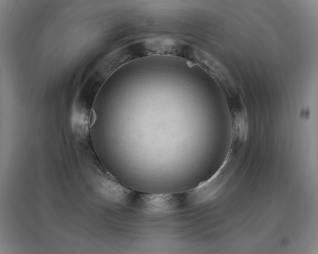X0000096700191200802051420