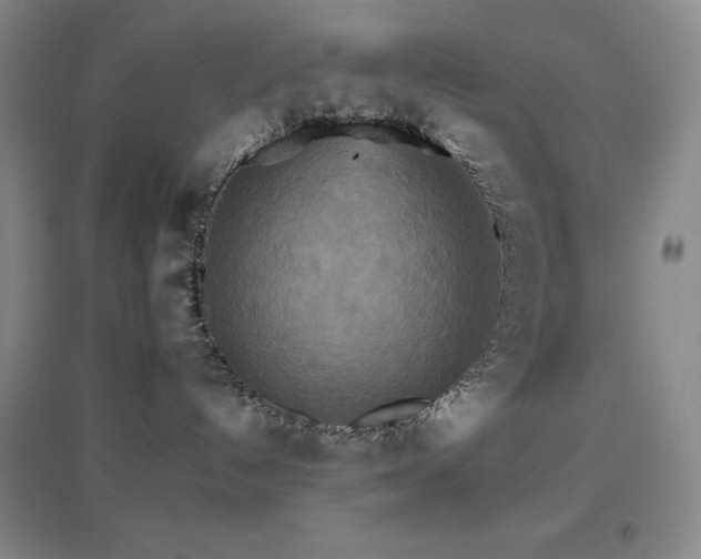 X0000096700192200802051420