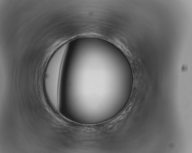 X0000096700193200802051419